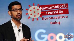 Koronavirüs Sürecine “Hamamböceği Teorisi” ile Bakış