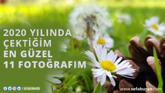 Yılı(mı)n Fotoğrafları (Benim Pencerem)