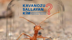 Kavanozu Sallayan Kim? | Karınca Teorisi 
