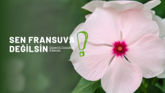 Sen Fransuva Değilsin | Cezayirli Çocuğun Hikayesi